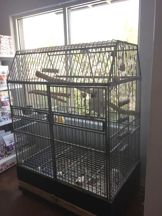 St. Michaels Companion Animal Hospital 2
