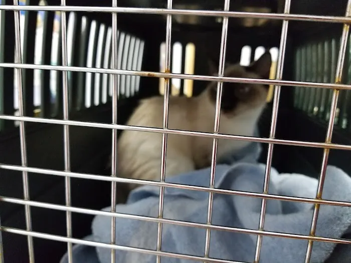 St. Michaels Companion Animal Hospital 3