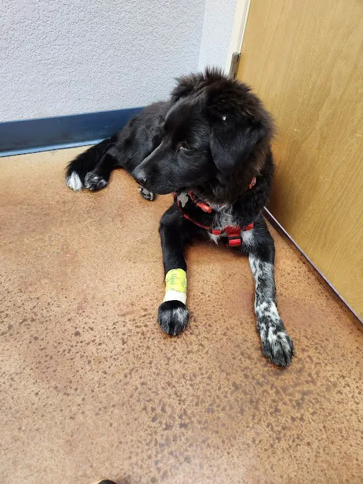 St. Michaels Companion Animal Hospital 5