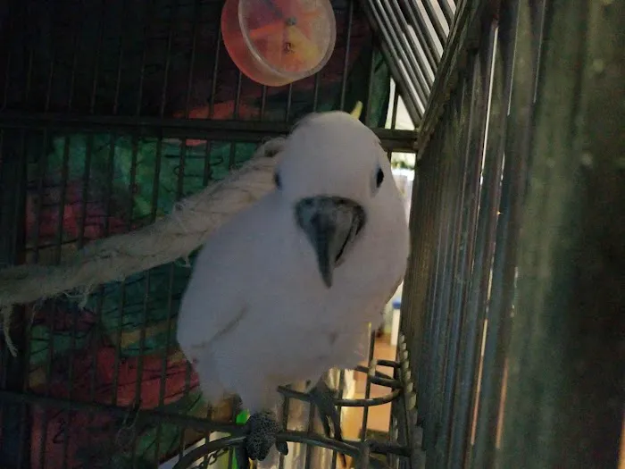 St. Michaels Companion Animal Hospital 4