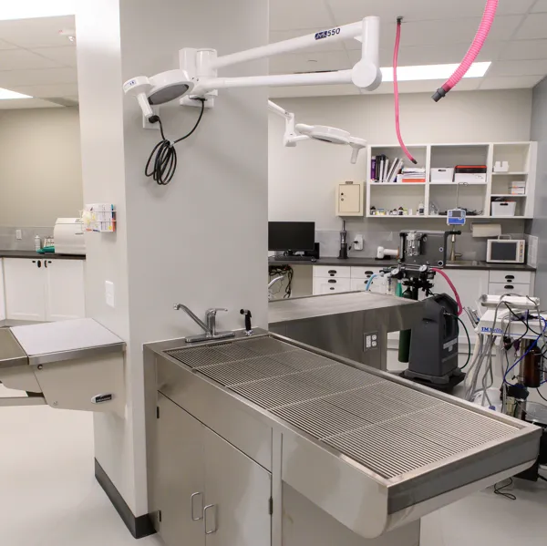 Crossroads Animal Hospital 9