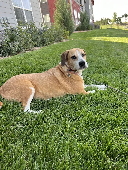 Crossroads Animal Hospital 6