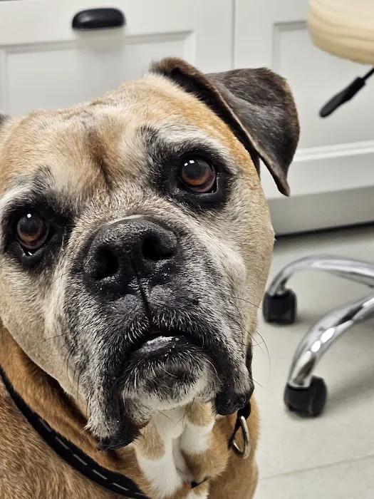 Crossroads Animal Hospital 3