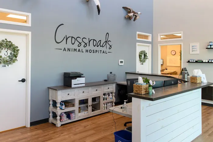 Crossroads Animal Hospital 1