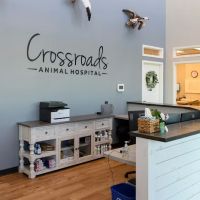 Crossroads Animal Hospital ico