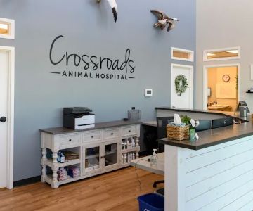 Crossroads Animal Hospital