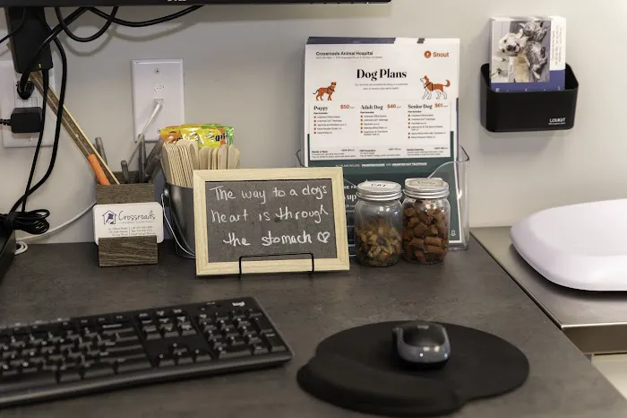 Crossroads Animal Hospital 7