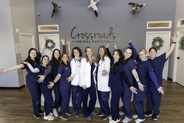 Crossroads Animal Hospital 2