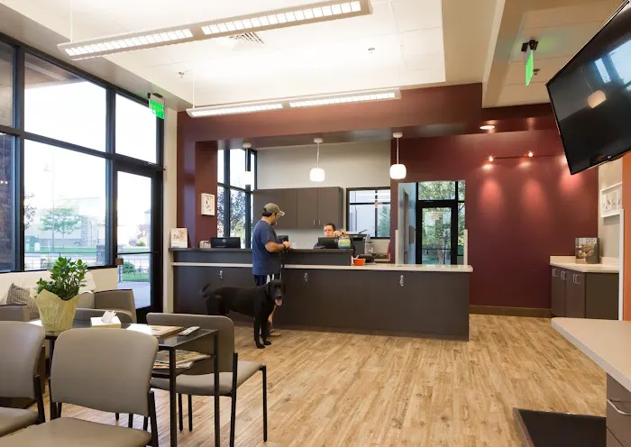 Four Seasons Veterinary Specialists 10