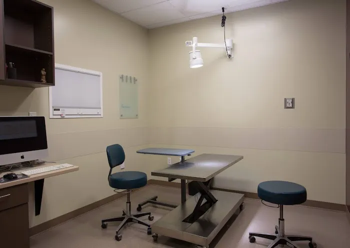 Four Seasons Veterinary Specialists 8