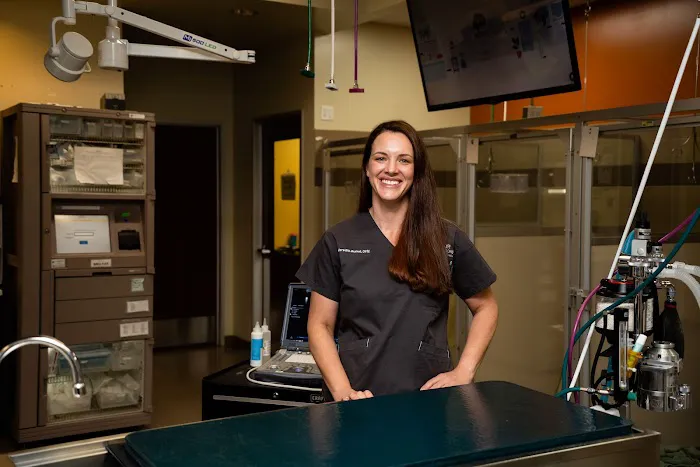 Four Seasons Veterinary Specialists 5