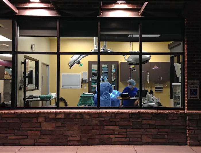 Four Seasons Veterinary Specialists 3