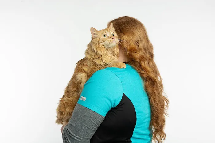 The Meadows Veterinary Center 7