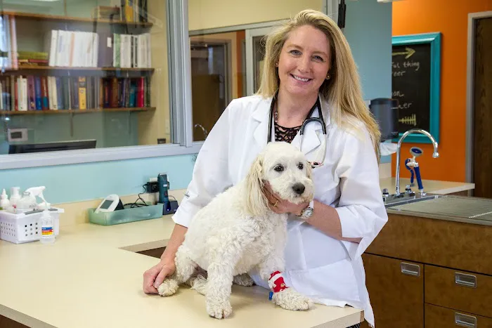 The Meadows Veterinary Center 8