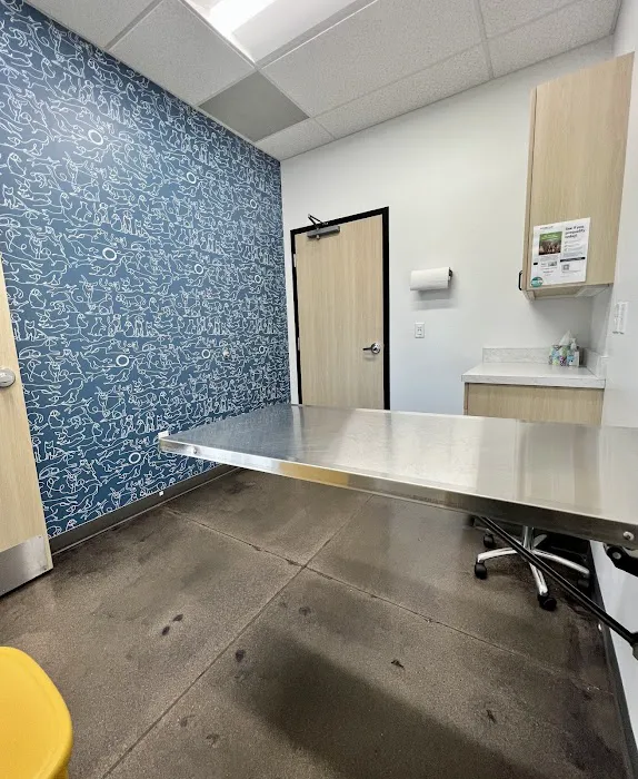 Royal Vista Veterinary Specialists 10