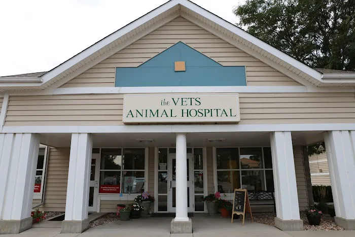 The Vets Animal Hospital 4