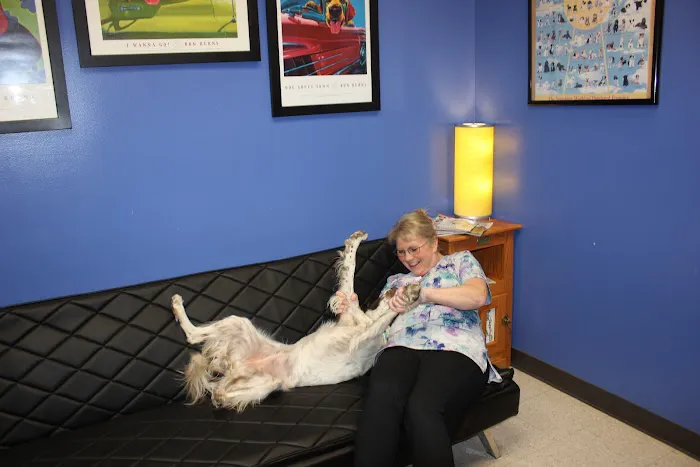 The Vets Animal Hospital 8