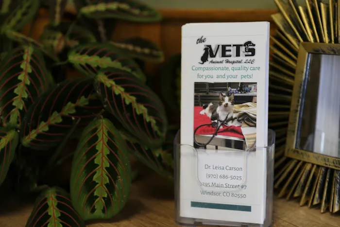 The Vets Animal Hospital 3