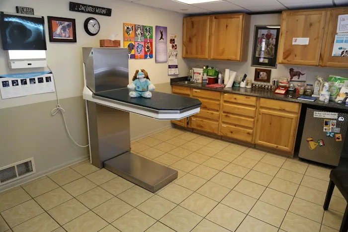 Mountainwood Pet Hospital 10