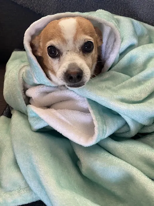 Mountainwood Pet Hospital 9