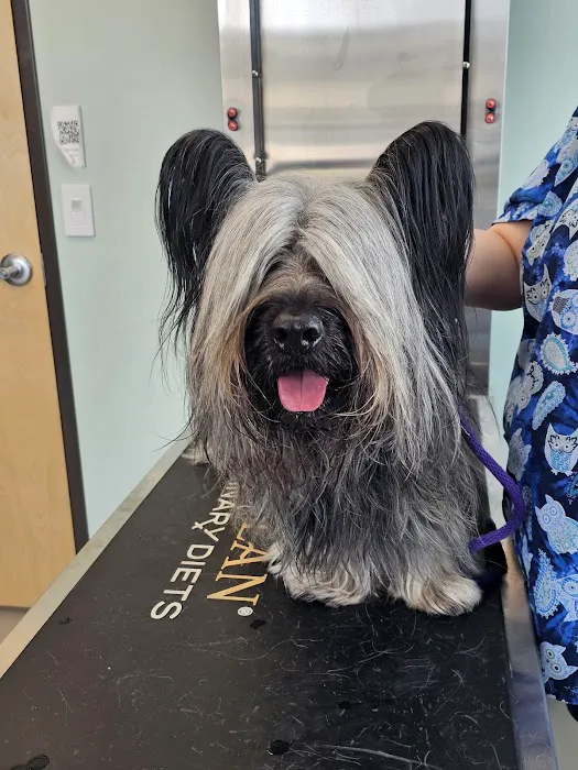 Pickaroon Animal Hospital 1
