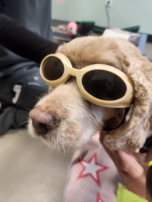 Pickaroon Animal Hospital 6