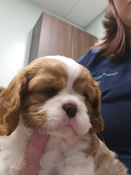 Pickaroon Animal Hospital 8