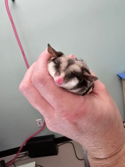 Pickaroon Animal Hospital 5
