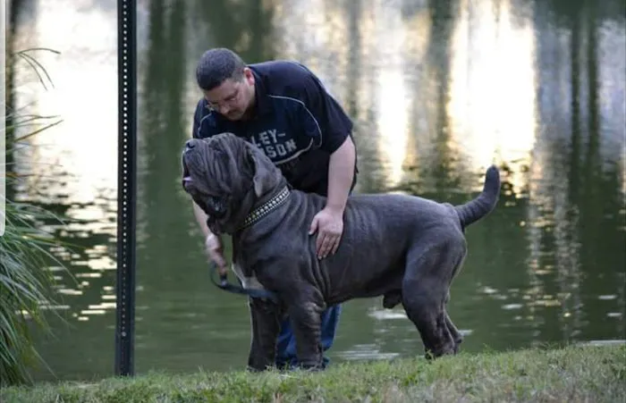 Vetco Total Care Animal Hospital 6
