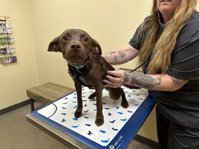 Vetco Total Care Animal Hospital 7