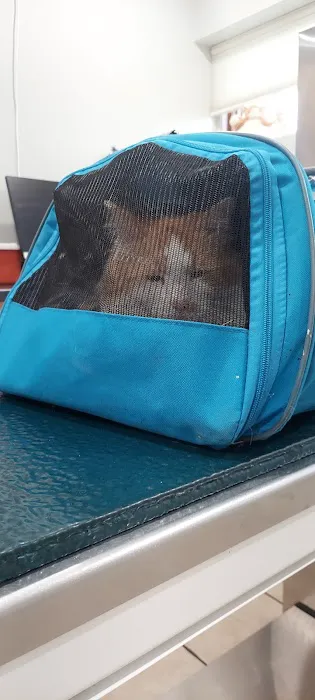 Highland Hills Pet Hospital 4