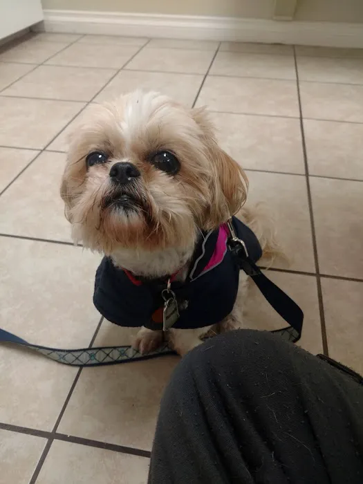 Highland Hills Pet Hospital 2