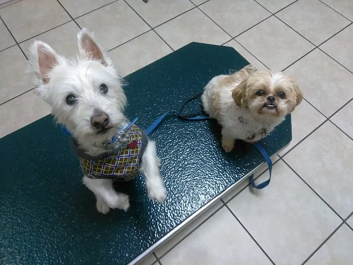 Highland Hills Pet Hospital 3