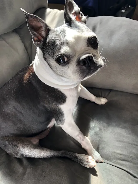 Highland Hills Pet Hospital 7
