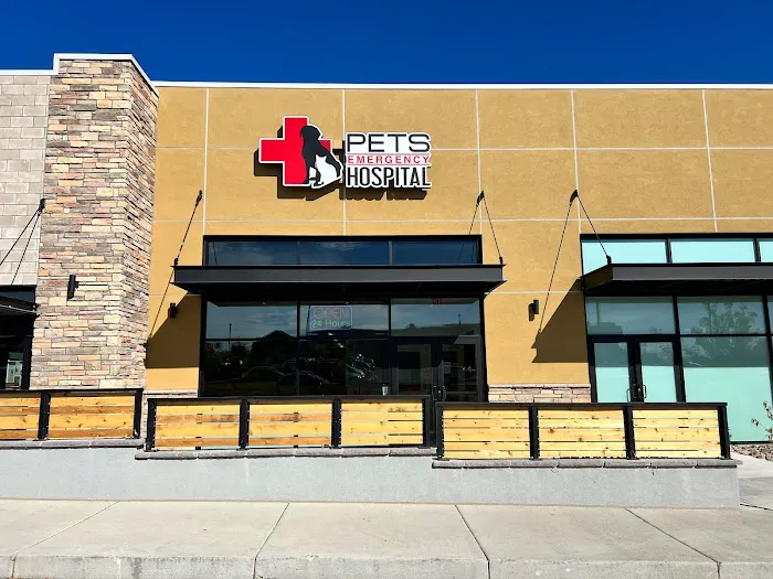 PETS Emergency Hospital, A Thrive Pet Healthcare Partner 10