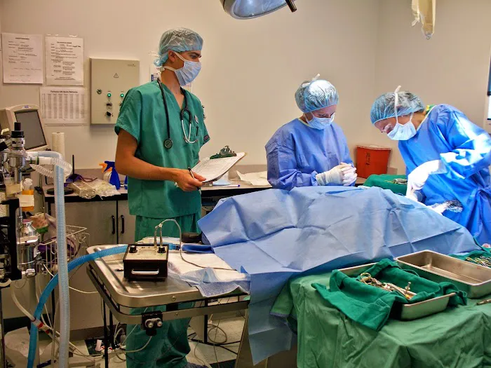 PETS Emergency Hospital, A Thrive Pet Healthcare Partner 8