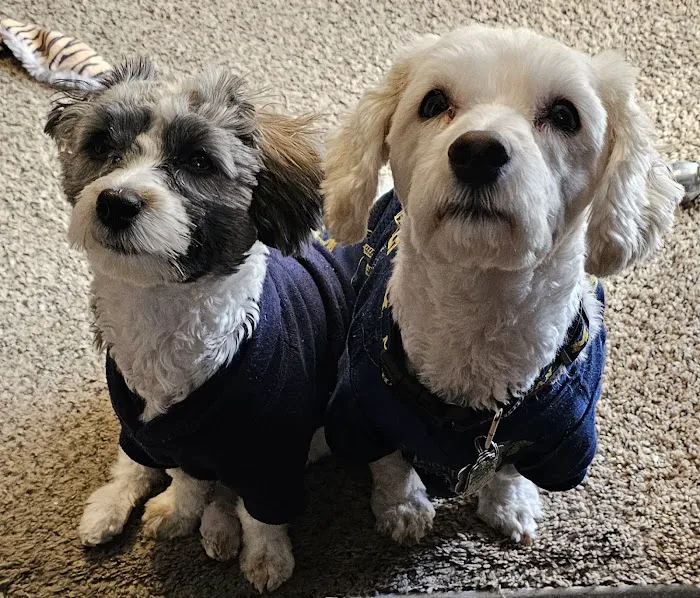 Banfield Pet Hospital 9