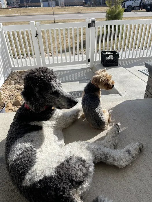 Banfield Pet Hospital 3