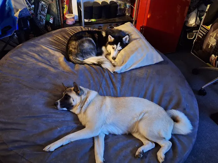 Banfield Pet Hospital 4