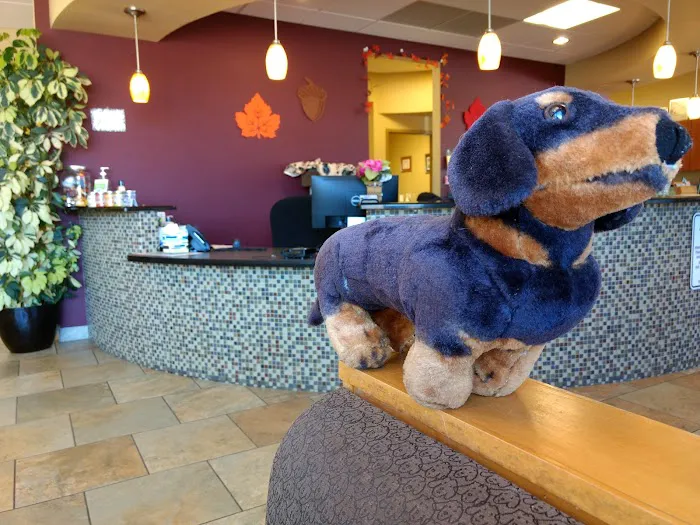 Yorkshire Veterinary Hospital 1
