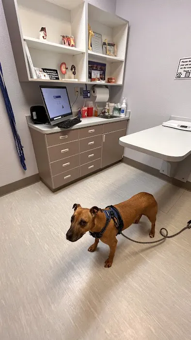 VCA North Academy Animal Hospital 2