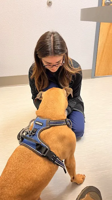 VCA North Academy Animal Hospital 3