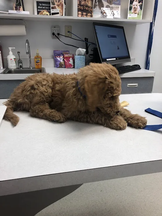 VCA North Academy Animal Hospital 9