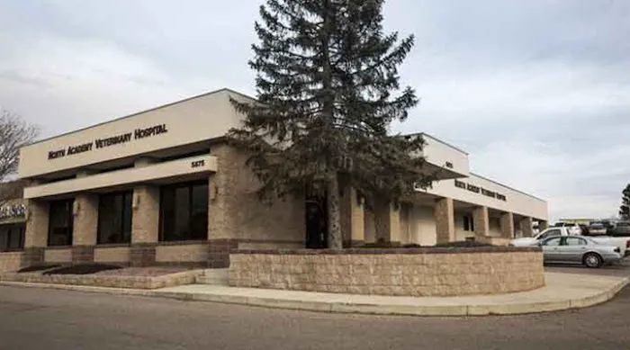 VCA North Academy Animal Hospital 7