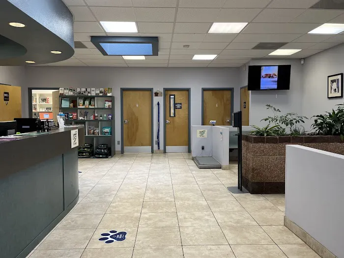 VCA North Academy Animal Hospital 1