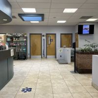 VCA North Academy Animal Hospital ico