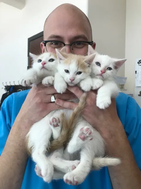 North Powers Animal Hospital 7