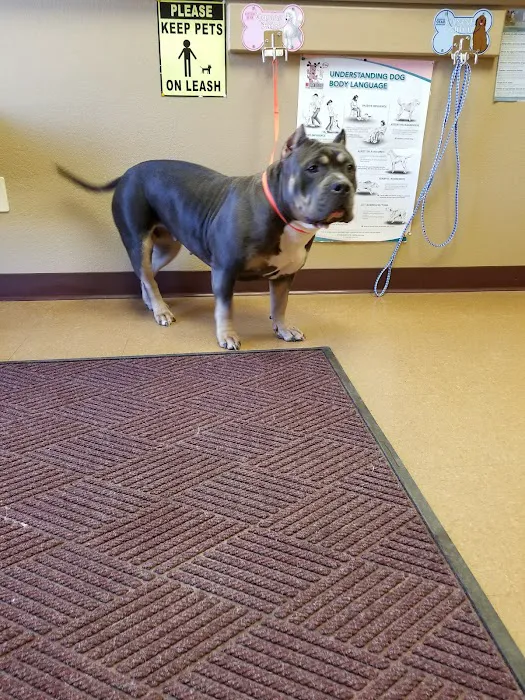 Great Value Pet Clinic, LLC 6
