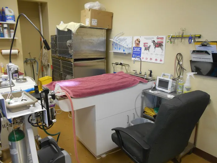 Great Value Pet Clinic, LLC 5