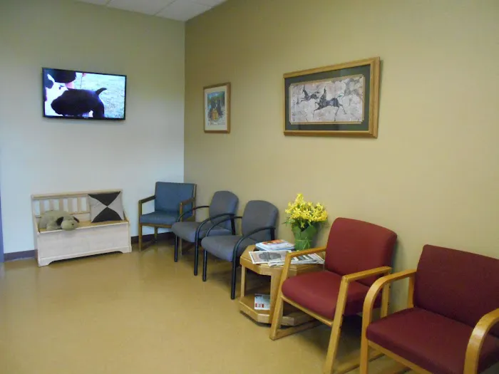 Great Value Pet Clinic, LLC 7